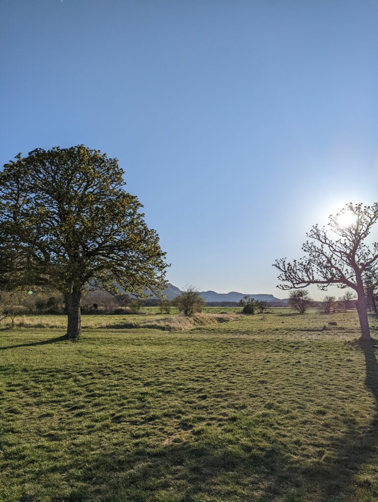 Un lieu magique pour travailler la voix