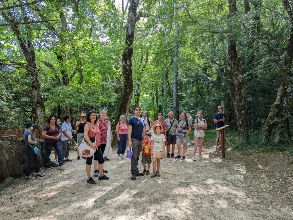 chanter dans la foret de la ste baume