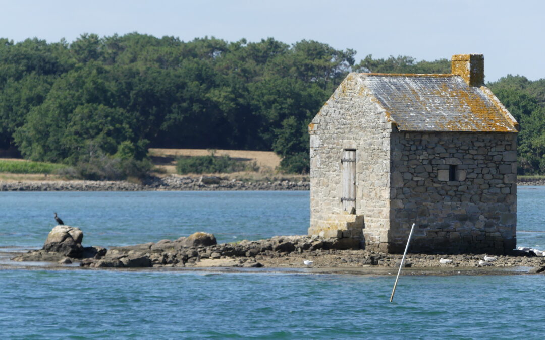 Le vlog sur les stages en Bretagne 2026